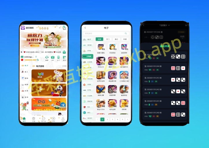 波兰娱乐国际版多语言彩票源码彩票接口分离前端+聊天室VUE纯源码+后端PHP